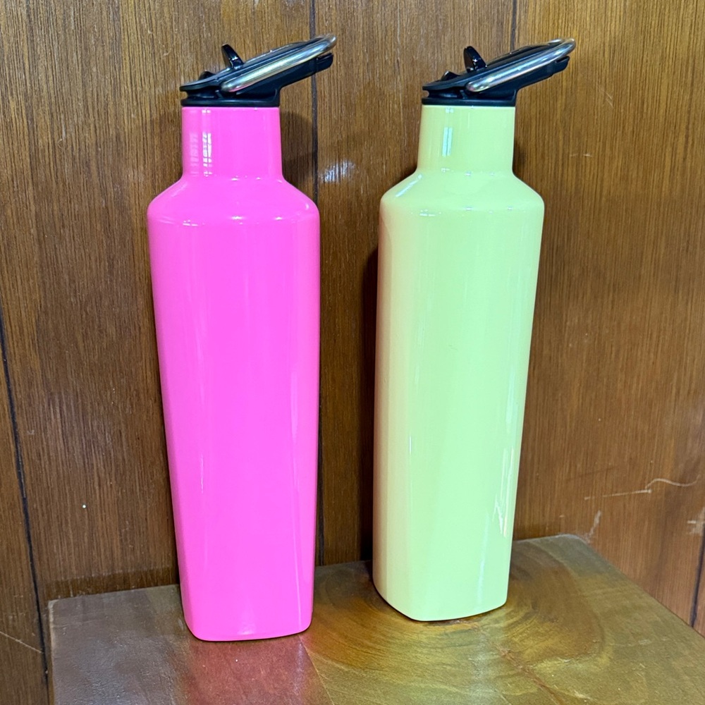 Set of 2 Brumate Rehydration Minis - Neon Pink and Daisy Water Bottles